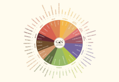 Gin Foundry's Flavor Wheel